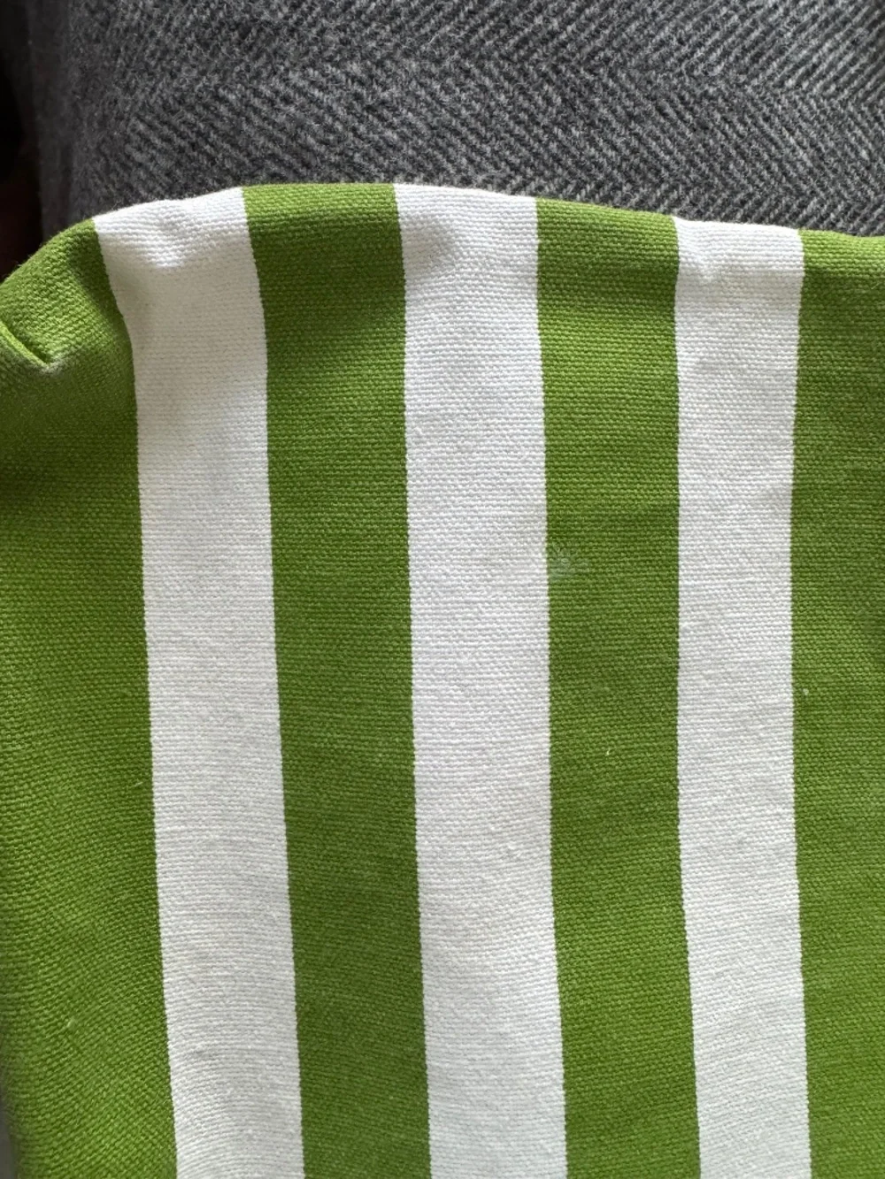 NWOT, TWO LOOPS, GREEN AND WHITE 1” STRIPE, COTTON CANVAS, ZIPPERED POUCH